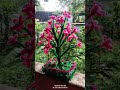 pipe cleaner flower