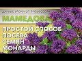 Простой способ посева Монарды.