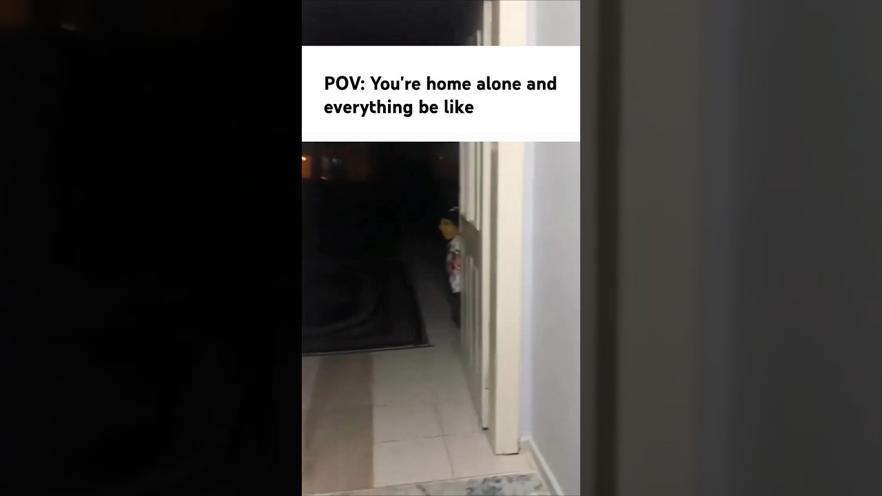 POV: You're home alone and everything be like