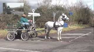 The importance of a horse having confidence in its driver.