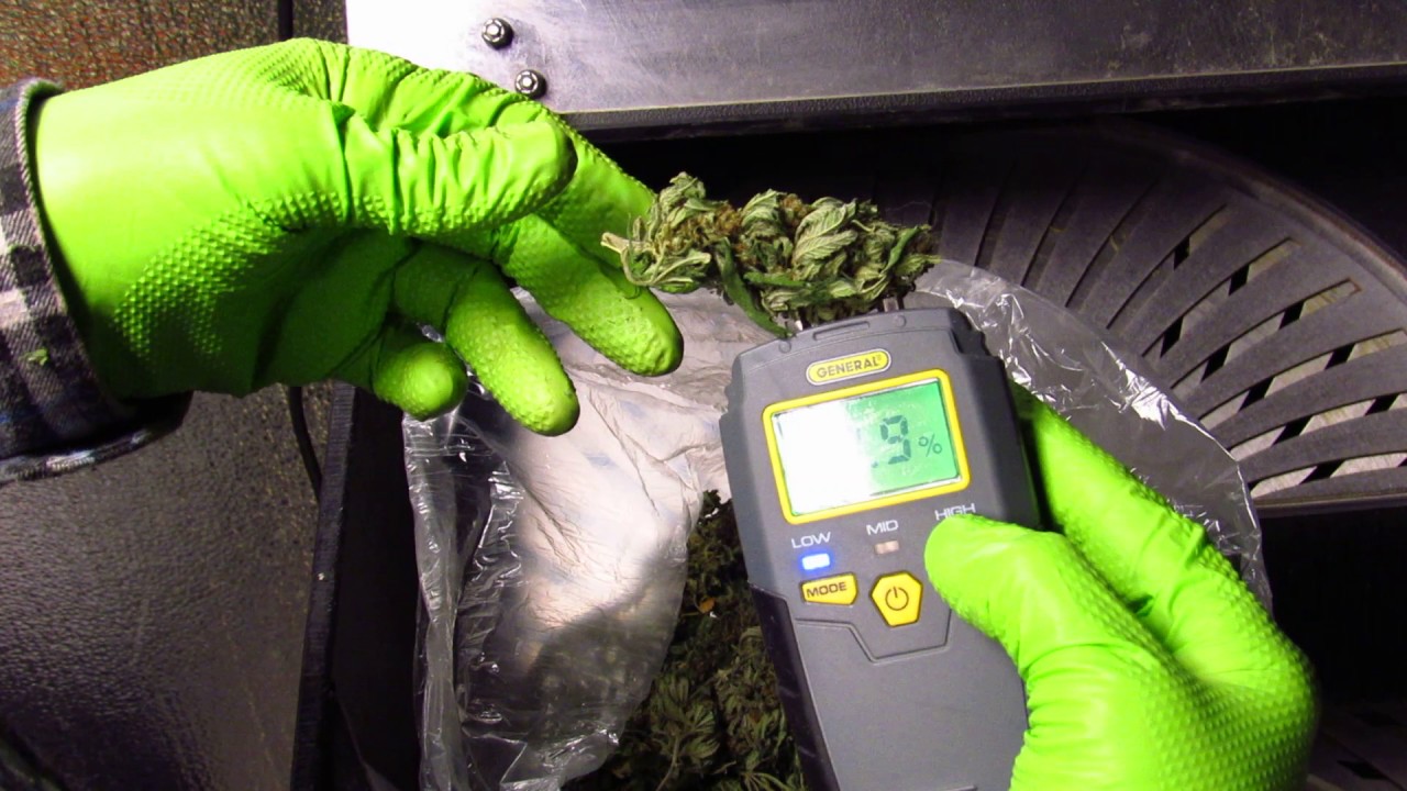 Bud Preperation Tips for The GreenBroz Dry Trimmer