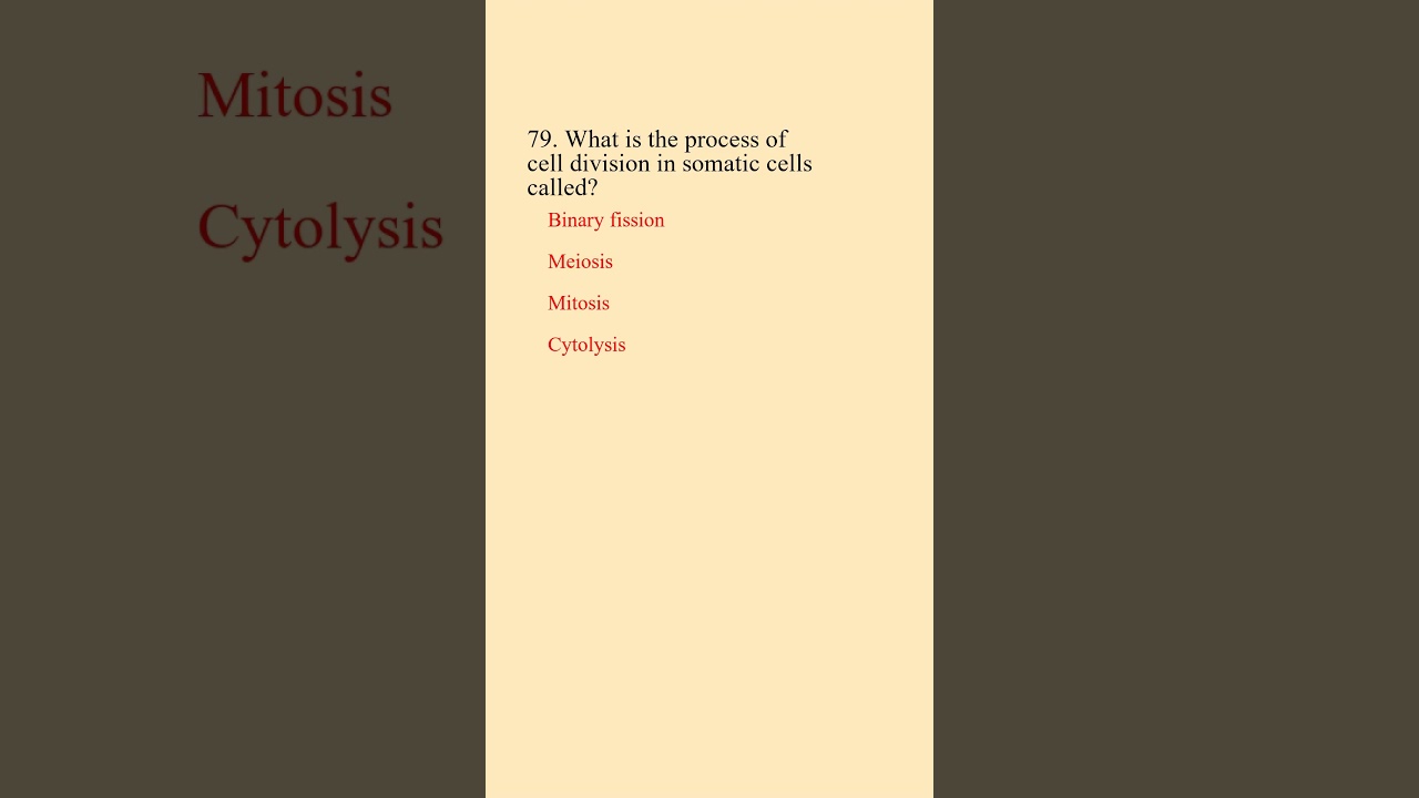 Important Question 100% common 