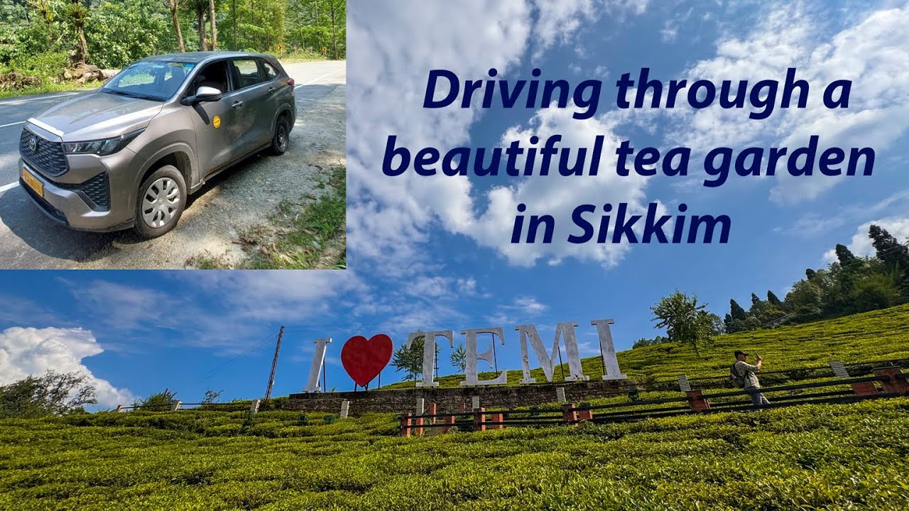 Innova Hycross | POV | Drive Through a Beautiful Tea Estate in Sikkim ...