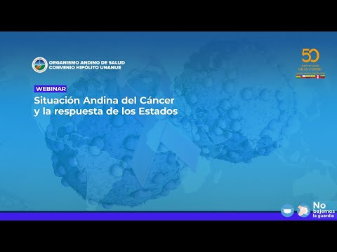SITUACIÓN ANDINA DEL