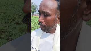 Syngenta ka Okra Diwa 051