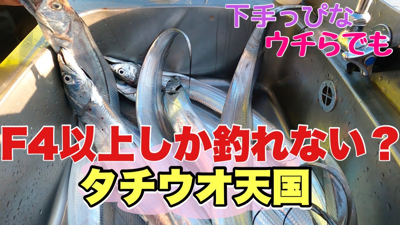 F4以上しか釣れない？東京湾のタチウオがデカ過ぎる！ - YouTube