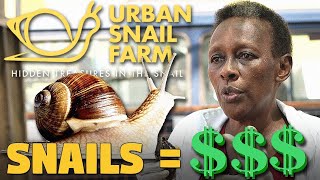 I Bet You Had No IDEA That Snail Farming Could Make You Rich in Uganda (Urban Snail Farms) screenshot 3