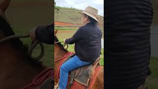 MINHA AVÓ AOS 76 ANOS ANDANDO A CAVALO!!