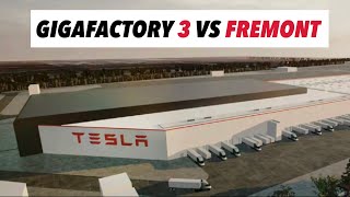 Why Tesla's Gigafactory Shanghai Is More Efficient Than The Fremont Factory