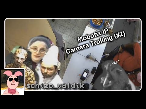 Mobotix IP Camera Trolling (#2)