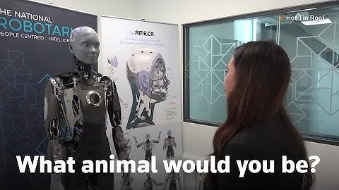 Scottish students get up close with AI robot | REUTERS