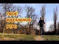 Идеальное утро или как начать делать зарядку!