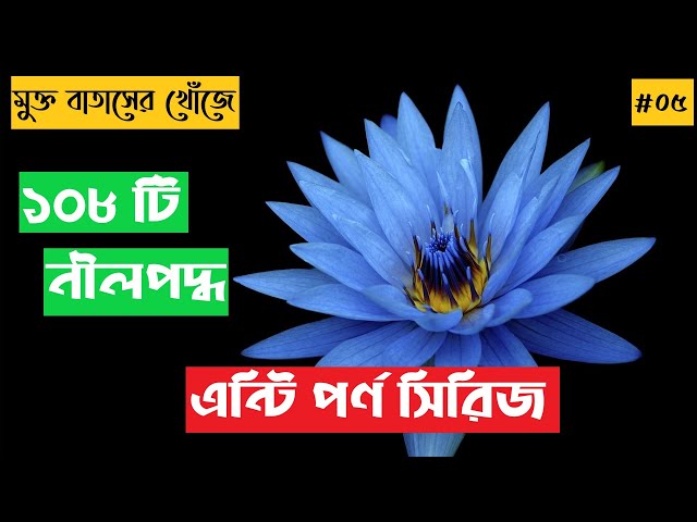 #৫ ১০৮ টি নীলপদ্ধ - মুক্ত বাতাসের খোঁজে