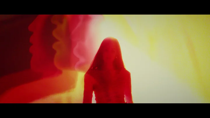 Marie Davidson - Adieu Au Dancefloor (Official Vid...