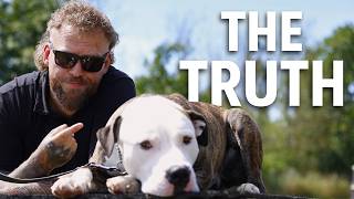 The Truth About AMERICAN BULLDOGS
