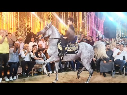 اصغر معلم في مصر و مازن العمدة بطل الجمهورية