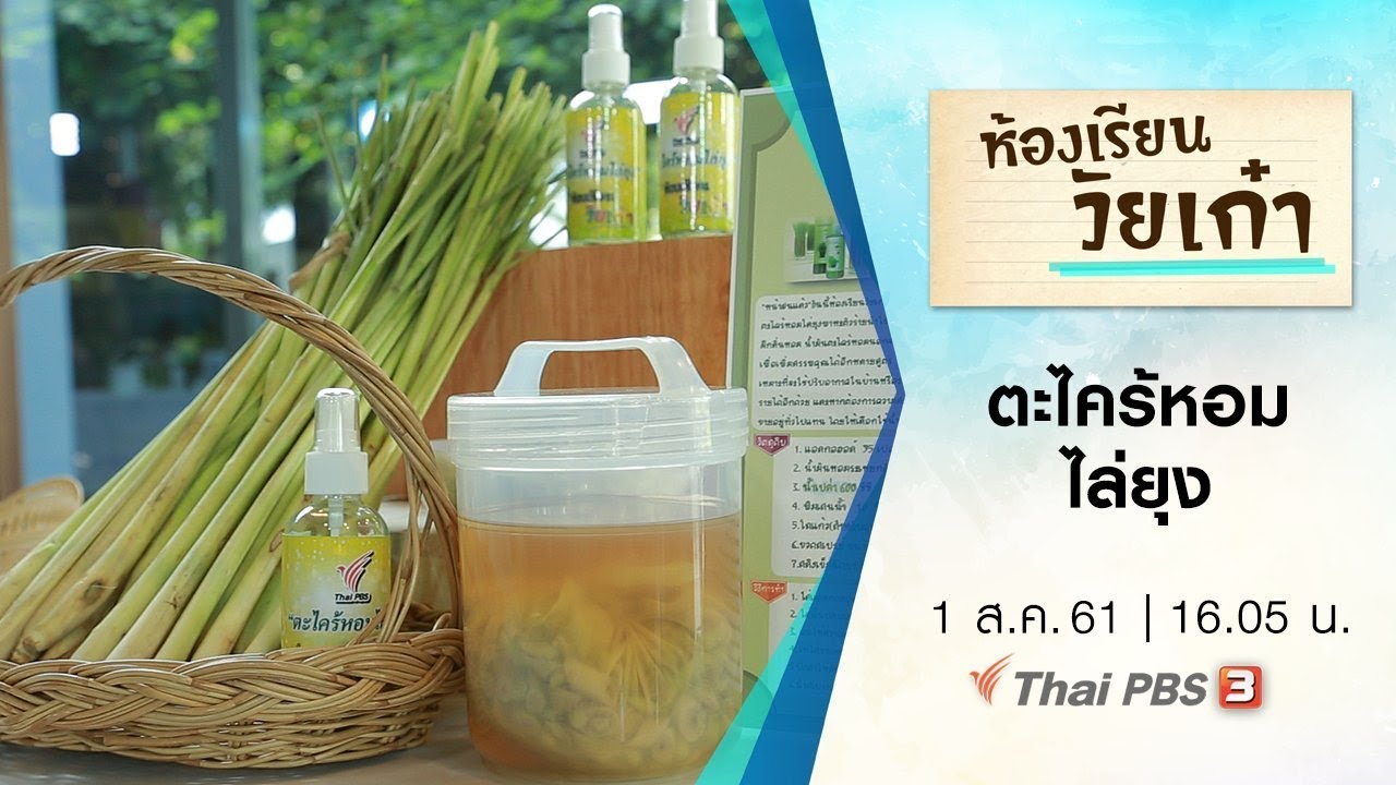 ห้องเรียนวัยเก๋า : ตะไคร้หอมไล่ยุง (1 ส.ค. 61)