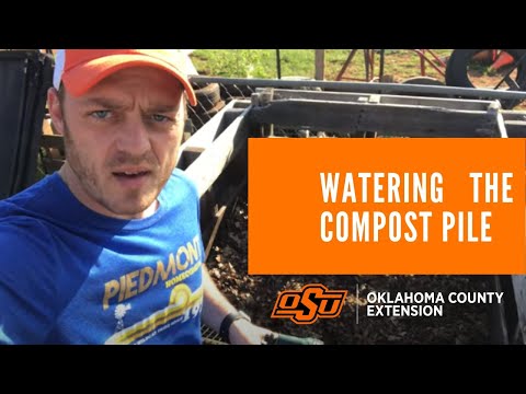 Wideo: Czy powinienem wlać wodę do mojego pojemnika na kompost?