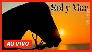 LEILÃO SOL Y MAR 2026 AO VIVO PROGRAMA CAVALOS TRANSMISSÃO DE LEILÕES E REMATES CAVALO CRIOULO
