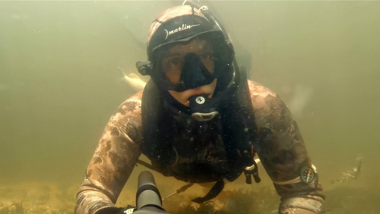 Подводная охота зимой. Подводная охота в казани зимой видео. Зимнее подводное видео. Зимнее подводное видео. Подводная охота зимой.