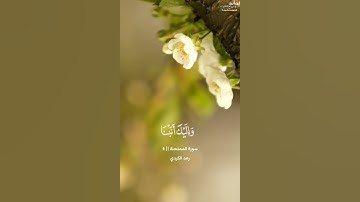 « ربنا عليك توكلنا » تلاوة من سورة الممتحنة || القارئ رعد الكردي