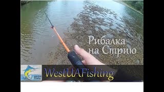 Рибалка на річці Стрий 06.08.2016р. (Рибалка на Західній Україні)