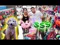 Buying my dog EVERYTHING he touches!!