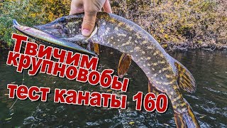 видео: Первый тест Megabass Kanata 160F на воде | Твичим крупновобы | Ловля щуки на воблеры картинка: Первый тест Megabass Kanata 160F на воде | Твичим крупновобы | Ловля щуки на воблеры