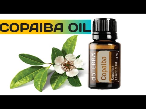 Copaiba Oil | A Powerful Anti Inflammatory Antiseptic Expectorant