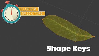 Shape keys animation in Blender