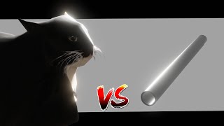 Maxwell cat VS metal pipe