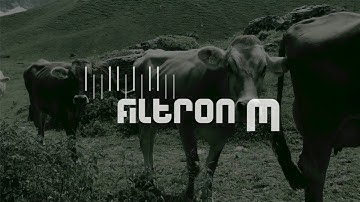 Transit Net in Progress #4