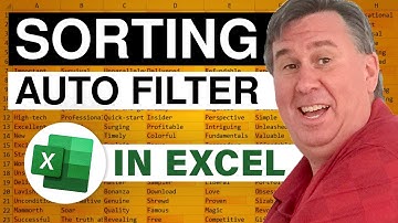 Excel - How to Sort with the Excel AutoFilter - Episode 903