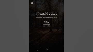 #قرآن #ياسر_الدوسري سورة الفتح و استخدموا الصوت