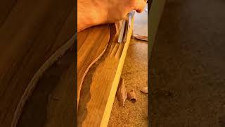 carving intricate wavy patterns into a wooden surface using a sharp gouge to create a unique texture