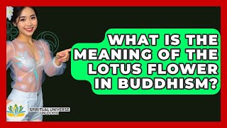 What Is The Meaning Of The Lotus Flower In Buddhism? - Spiritual Universe Unlocked Why Does Buddhism Use The Lotus Flower As A Symbol Gdd 376 Dvd