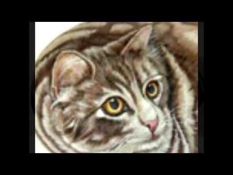 Как нарисовать на камне кошку