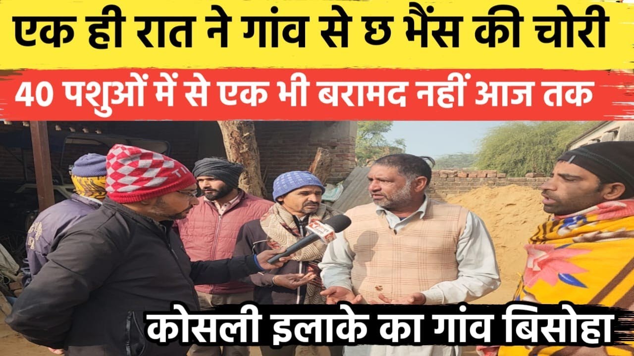 कोसली विधानसभा के बीसोहा गांव में 40 से ज्यादा पशु चोरी | अब तक एक भी बरामद नहीं |State News Haryana