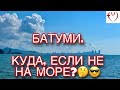 Батуми. 🇬🇪 Куда, если не на море? Пять мест для прогулок и развлечений. 😎☘️🌹