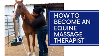 How To Become a Certified Equine Massage Therapist