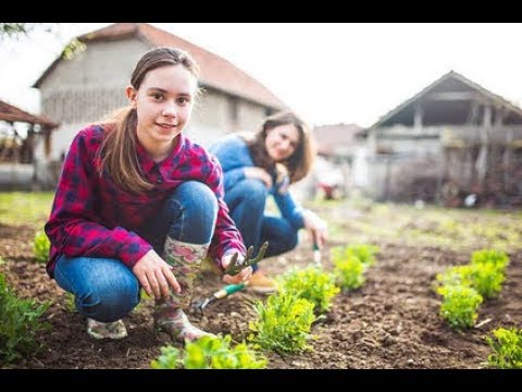 Video: Participarea Copiilor La Muncă în țară