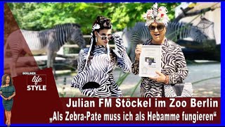 Zoo Berlin - Julian F.m. Stöckel Ist Ehrenpate Von Grévy-Zebras