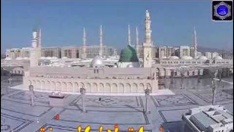 تلاوة قرانية للمسلم الصغير الشيخ احمد وليد الشرقاوى صلاة عشاء يوم  25 ياناير 2019