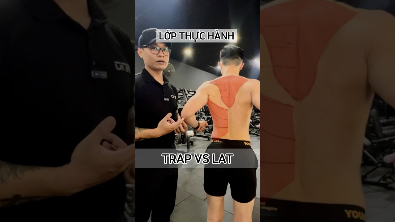 Nhóm thực hành nhóm cơ Lưng #dnafitness #fitnessacademy #tommusclesimple