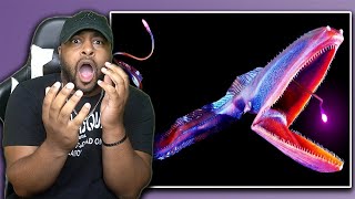 Top 10 Most Bizarre Deep Sea Creatures Ever Discovered ( BE AMAZED )