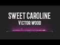 SWEET CAROLINE__VICTOR WOOD (lyrics)