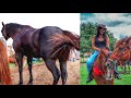 #101🐎💲FEIRA DE CAVALO EM CARUARU PE - HOJE COM CAVALO DE TODO GOSTO!! (04/05/2021)