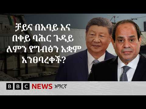 አነጋጋሪ የሆነው የቻይናው ፕሬዝዳንት የካይሮ ጉብኝት | BBC News አማርኛ