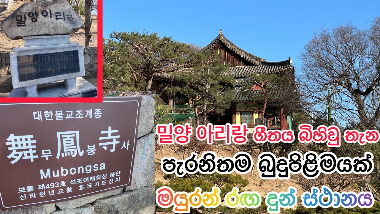 Yeongnamnu pavilion, mubongsa, miryang arirang song මයුරන් රඟ දුන් ස්ථානය 