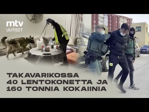 Video: Miksi Chihuahua Shake?